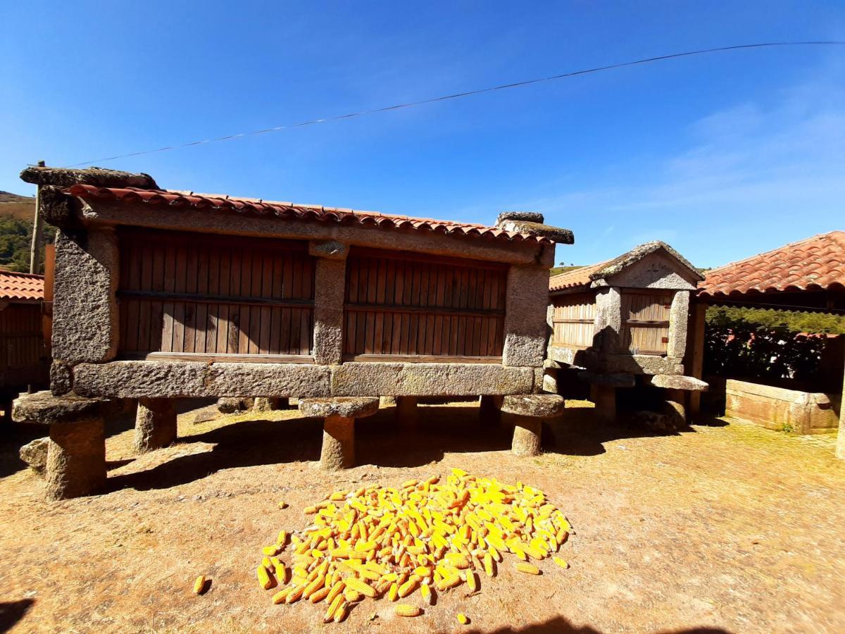 시스텔루 Casa Da Fichua 빌라 외부 사진